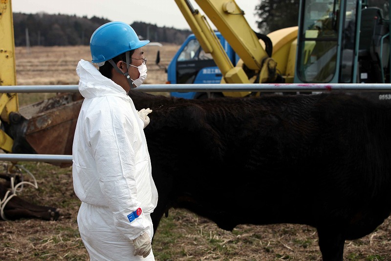 富岡町での殺処分