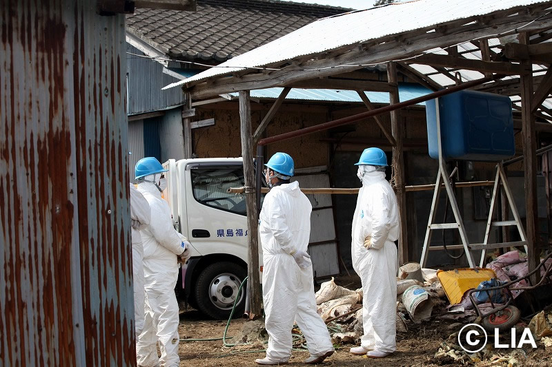 富岡町での殺処分