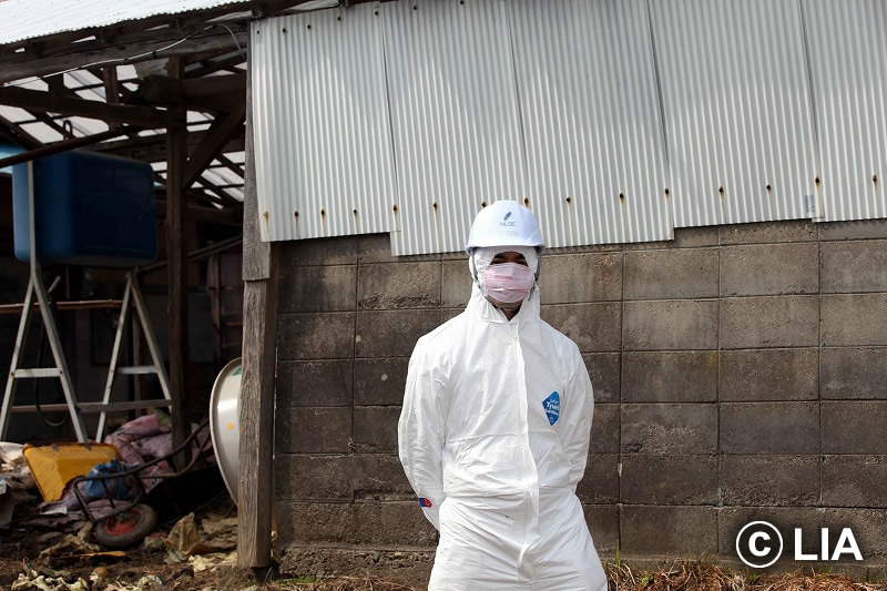 富岡町での殺処分