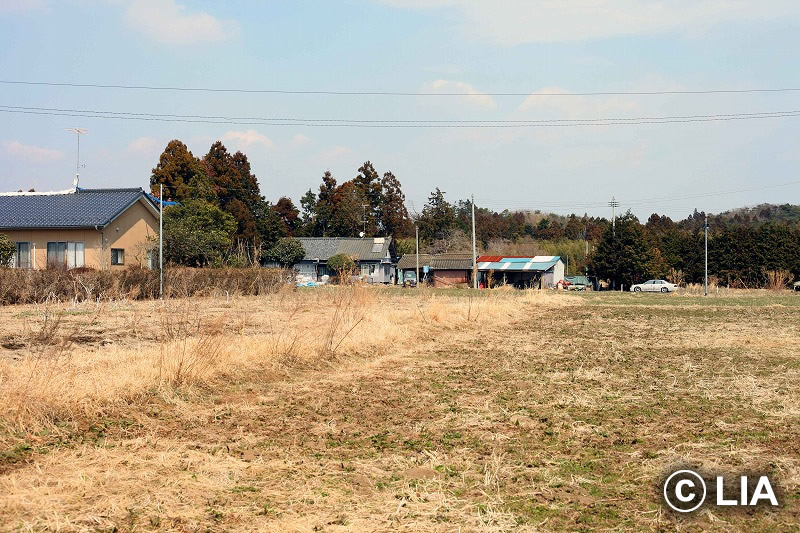 富岡町での殺処分