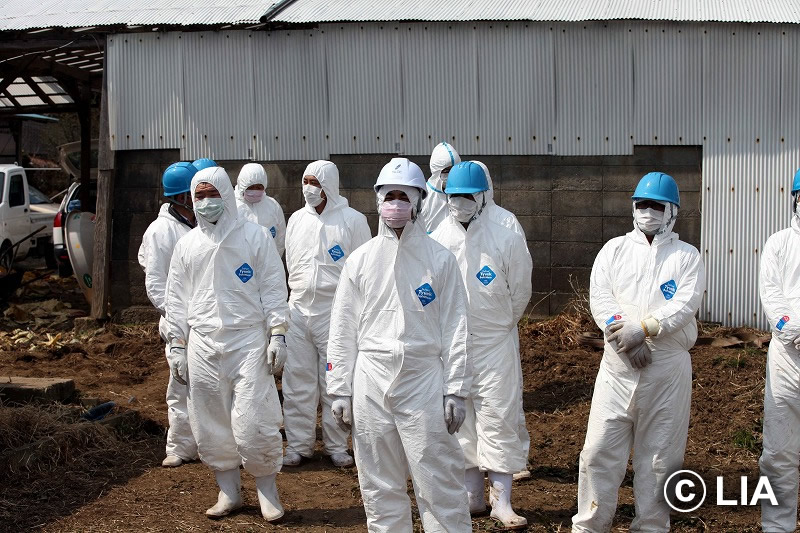 富岡町での殺処分