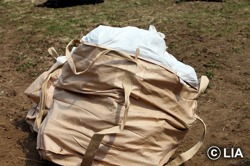 富岡町での殺処分